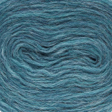 Load image into Gallery viewer, Blágrænn Plötulopi - 2025 - Heilt búnt (2kg)