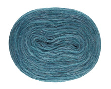 Load image into Gallery viewer, Blágrænn Plötulopi - 2025 - Heilt búnt (2kg)