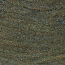 Load image into Gallery viewer, Skógargrænn Plötulopi - 1421