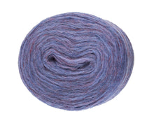 Load image into Gallery viewer, Blágresi Plötulopi - 2026